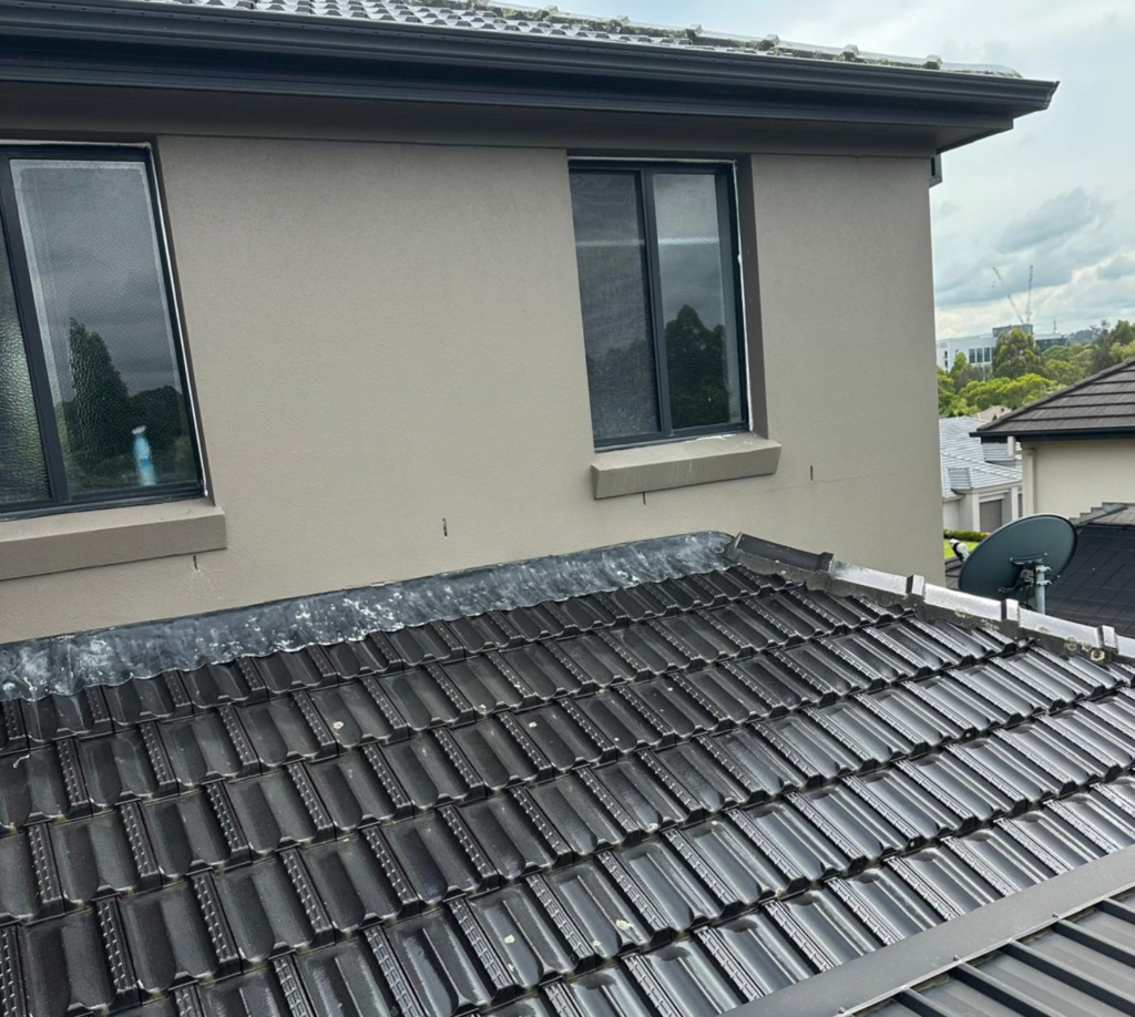 Roof Painting Service Sydney